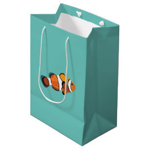 Koolvis Medium Cadeauzakje