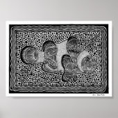 Koolvis Poster (Voorkant)