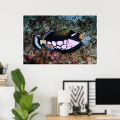 Koolvis Poster (Thuiskantoor)