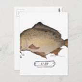 Koolvis, tongfernandes briefkaart (Voorkant / Achterkant)