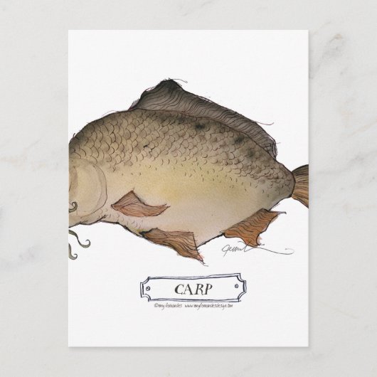 Koolvis, tongfernandes briefkaart (Voorkant)