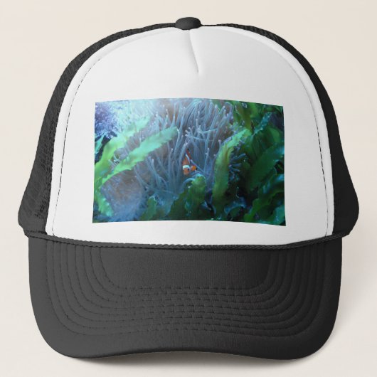 Koolvis Trucker Pet (Voorkant)