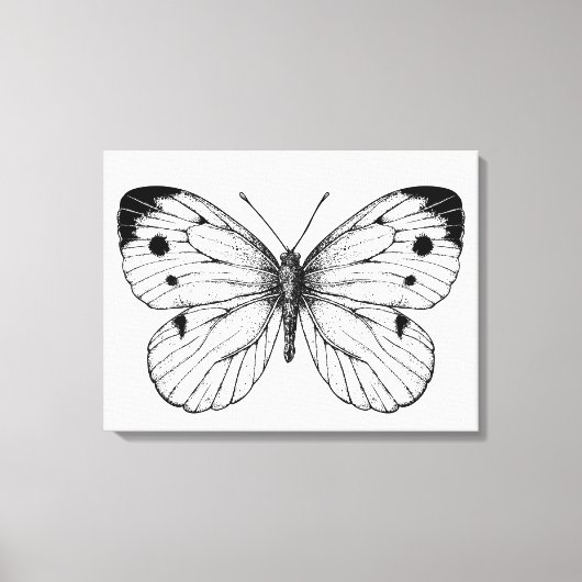 Koolwitje Canvas Afdruk (Voorkant)