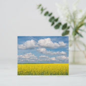 Koolzaakveld & Wolken Briefkaart (Staand voorkant)