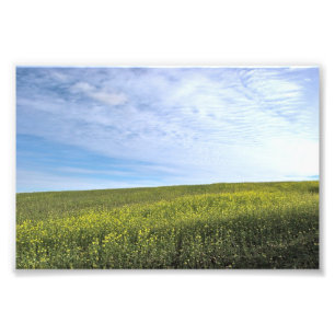 Koolzeveld - Foto Afdruk