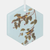 Koolzuurkool Glas Ornament (Voorkant)