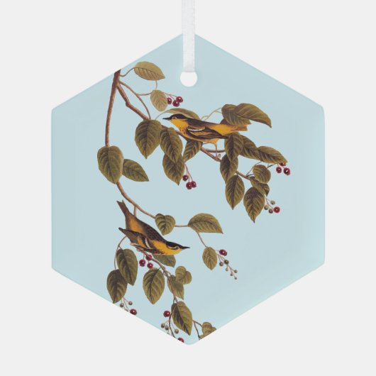 Koolzuurkool Glas Ornament (Achterkant)