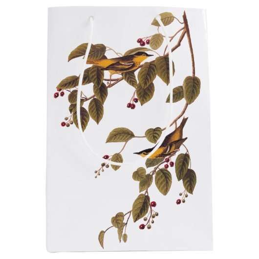 Koolzuurkool Medium Cadeauzakje (Voorkant)