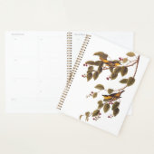 Koolzuurkool Planner (Display)