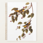 Koolzuurkool Planner (Voorkant)