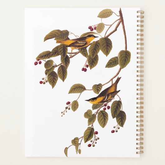 Koolzuurkool Planner (Achterkant)