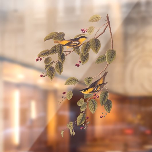 Koolzuurkool Raamsticker (Vel 2)