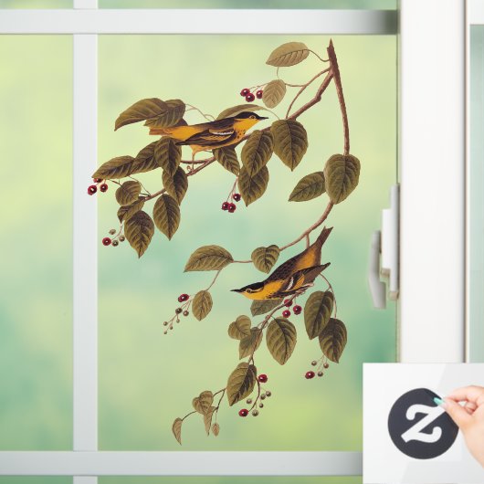 Koolzuurkool Raamsticker (Huis)