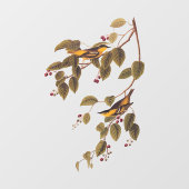 Koolzuurkool Raamsticker (Vel)