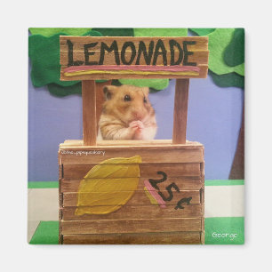 Koop je wat limonade? alsjeblieft? magneet