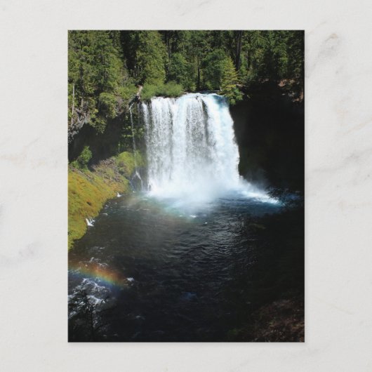 Koosah Herfsten Oregon Waterfall Briefkaart (Voorkant)