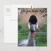 Kop! Briefkaart (Voorkant / Achterkant)