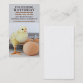 Kop in de eierkarton Chicken Hatchery Visitekaartje (Voorkant / Achterkant)