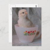 Kop in  Teacup Briefkaart (Voorkant / Achterkant)