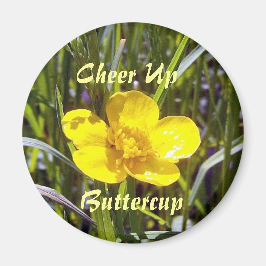 Kop op Buttercup Magnet Magneet (Voorkant)