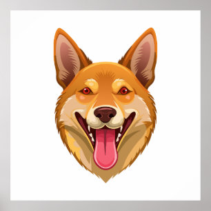 Kop van Australische wilde hond dingo Poster
