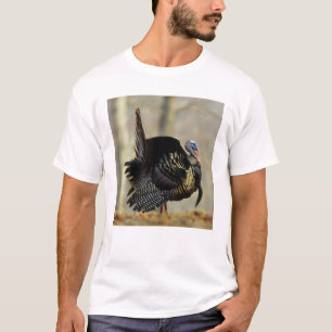 Kop van kalkoen pronkend, Illinois T-shirt