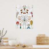  kopepodadieren door Ernst Haeckel Poster (Keuken)