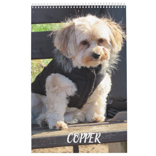 Koper de Havapookie-agenda Kalender (Hoes)