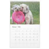 Koper de Havapookie-agenda Kalender (Feb 2026)