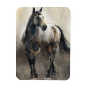 Koper en nikkel magneet