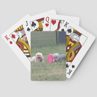 Koper- en Penny-spelkaarten Speelkaarten