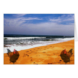 Koper gaat naar het strand