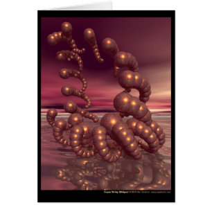 Kopergarnaal Whirlpool