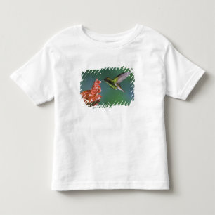 Koperkopsmaragd, Elvira cupreiceps, Kinder Shirts