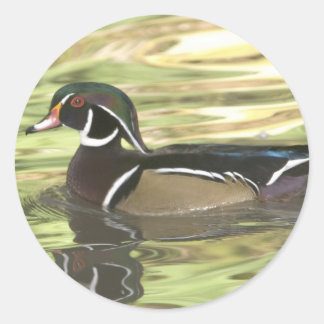 Kopie DSC_0454 Ronde Sticker