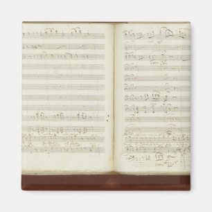 Kopie van de 'Magische Bot' Magneet