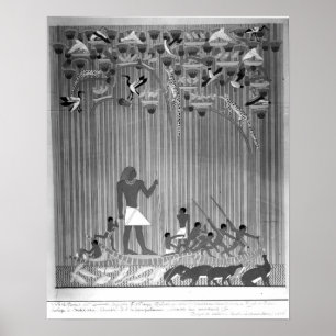 Kopie van Egyptisch schilderd reliëf dat Vist Poster