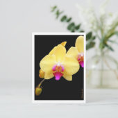 Kopie van gele orchideeën briefkaart (Staand voorkant)