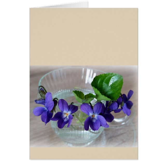 kopje violetten (Voorkant)