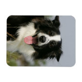 Kopje voor uiteinde uiteinde rand uitlijnen 1 magneet (Horizontaal)