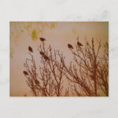 koppel briefkaart (Voorkant)