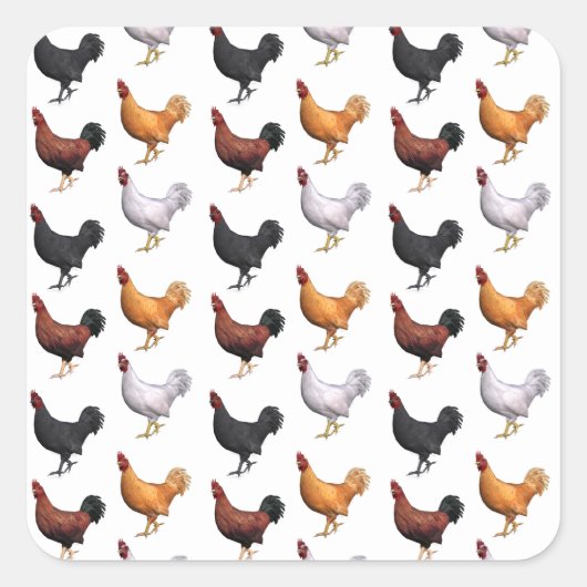 koppel van de roosters vierkante sticker (Voorkant)