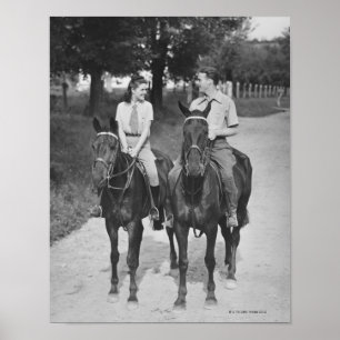 Koppelpaarden Poster