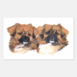 Kopstudie van Tibetaanse Spaniels Rechthoekige Sticker
