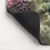 Koraal, Agincourt Reef, Great Barrier Reef Muismat (Hoek)