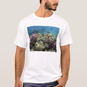 Koraal, Agincourt Reef, Great Barrier Reef, T-shirt