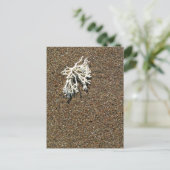 Koraal Briefkaart (Staand voorkant)