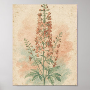 Koraal Dovenetel Botanische Bloem Poster