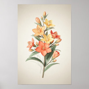 Koraal- en Crèmelelieën Botanisch Poster