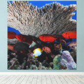 Koraal en vis muur decor canvas Print (Insitu (Houten vloer))